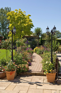 A path through our garden