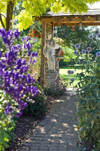 A section of our garden